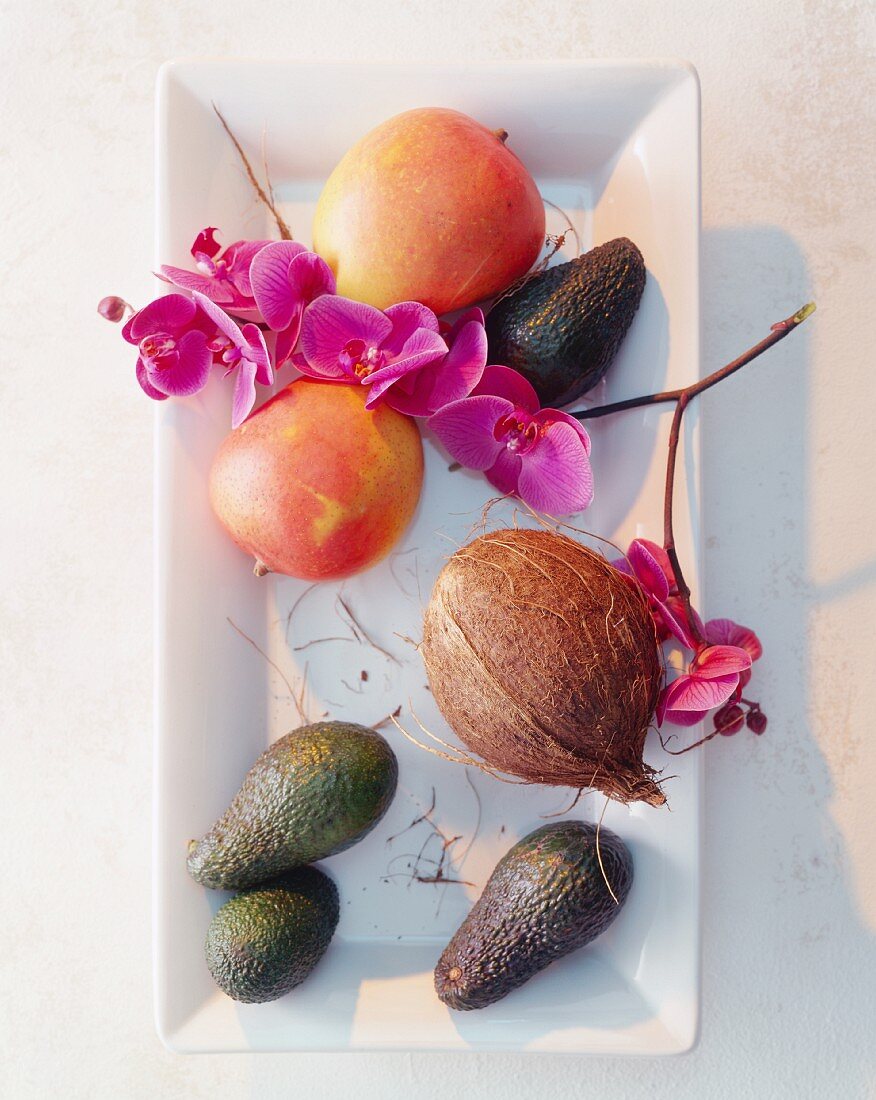 Mango, Kokosnuss & Avocados mit Orchideenblüte auf Servierplatte