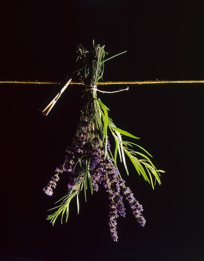 Sprigs of lavender and rosemary attached to the washing line