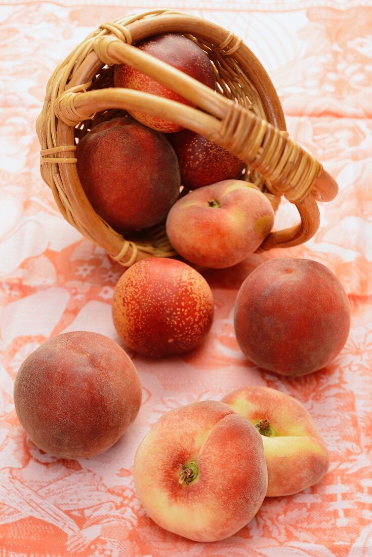 Peaches and nectarines in and in front of a basket