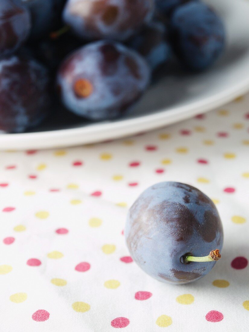 A plum in front of a plate of plums