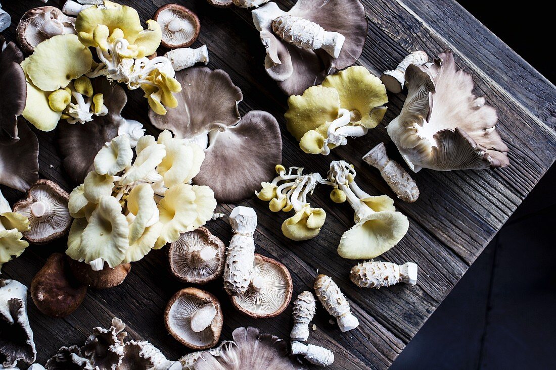 Assorted mushrooms on a rustic wooden board