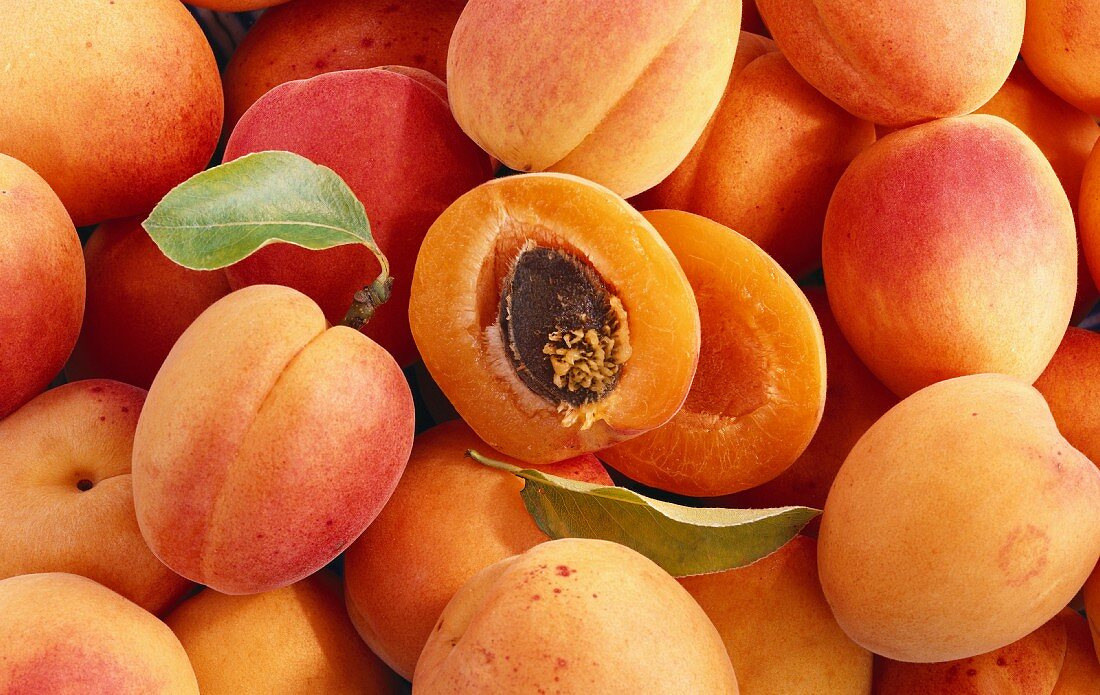 Lots of whole apricots and a halved apricot
