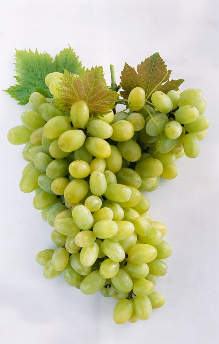 Green grapes with leaves