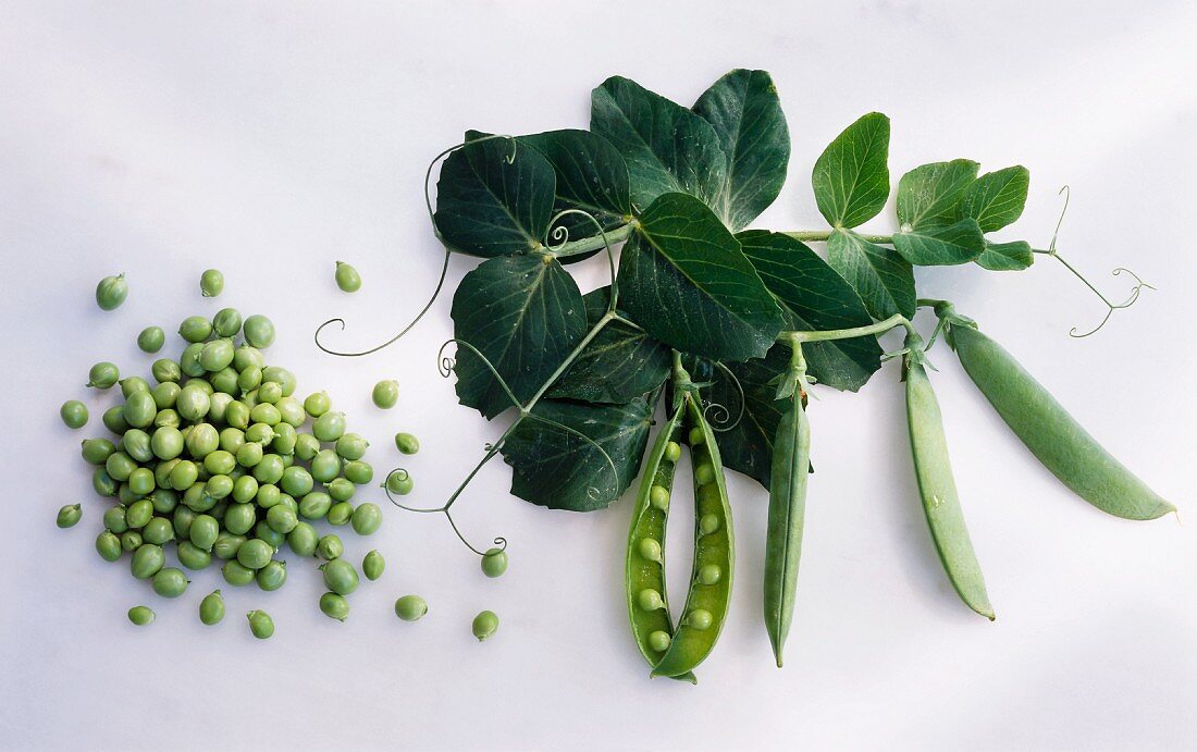 Peas, pea pods and pea leaves