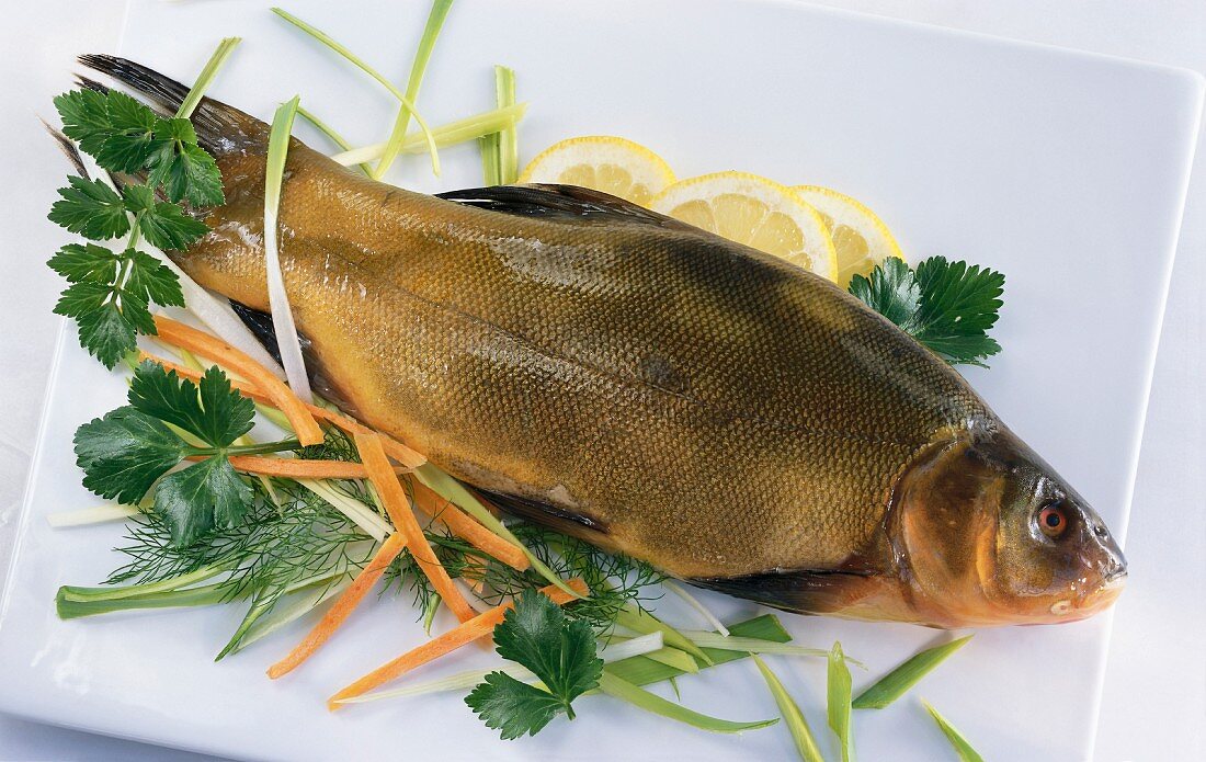 A fresh tench garnished with parsley, dill, carrots, leek and lemon slices