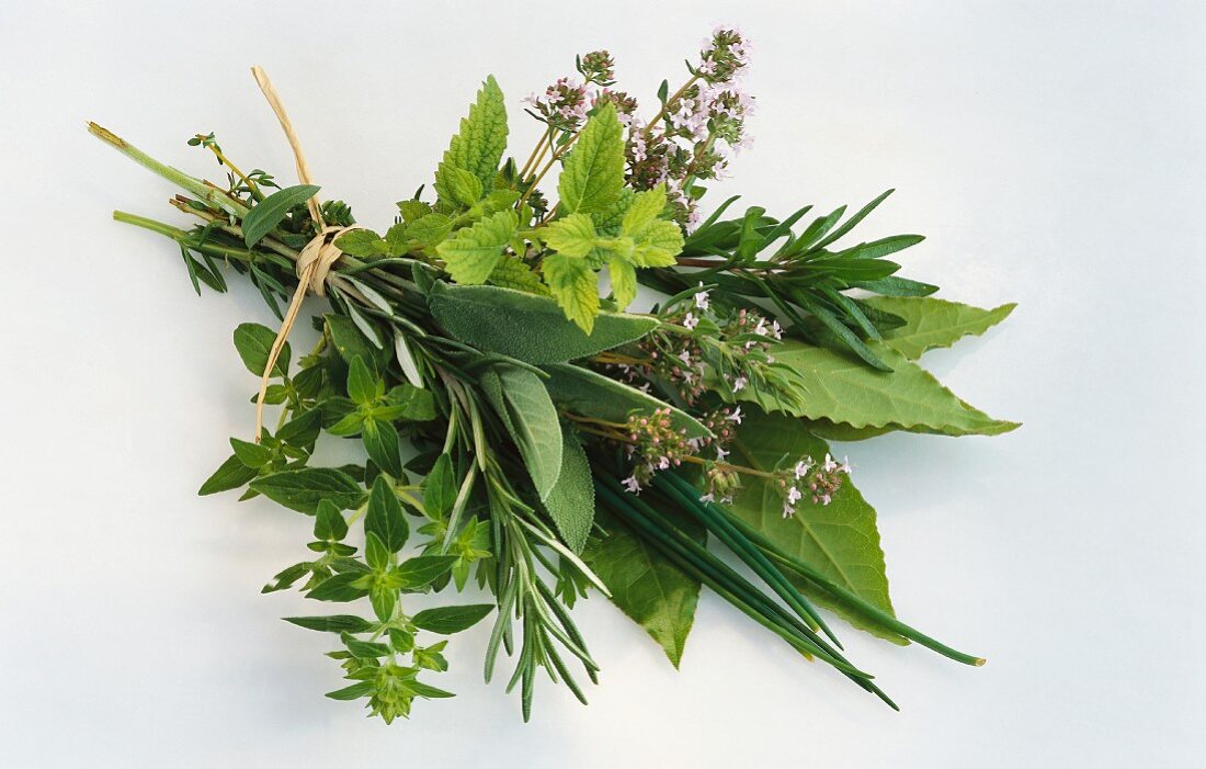 A bunch of fresh herbs, with rosemary, bay, thyme, chives, savory, lemon balm, oregano and sage