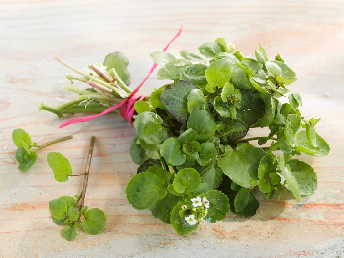 Fresh watercress, tied in a bunch