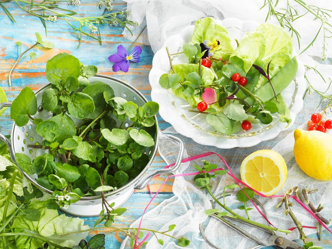 Kopfsalat mit Brunnenkresse, Zuckerschoten, roten Johannisbeeren und Rosenblatt