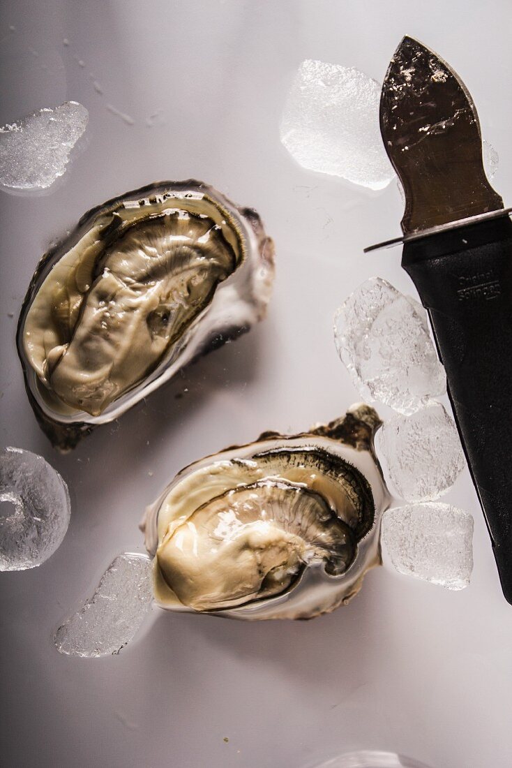 Frische Gillardeau-Austern mit Messer