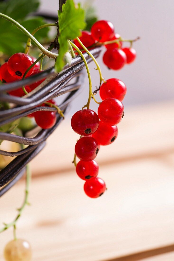 Rote und weiße Johannisbeeren hängen an einer Drahtschale