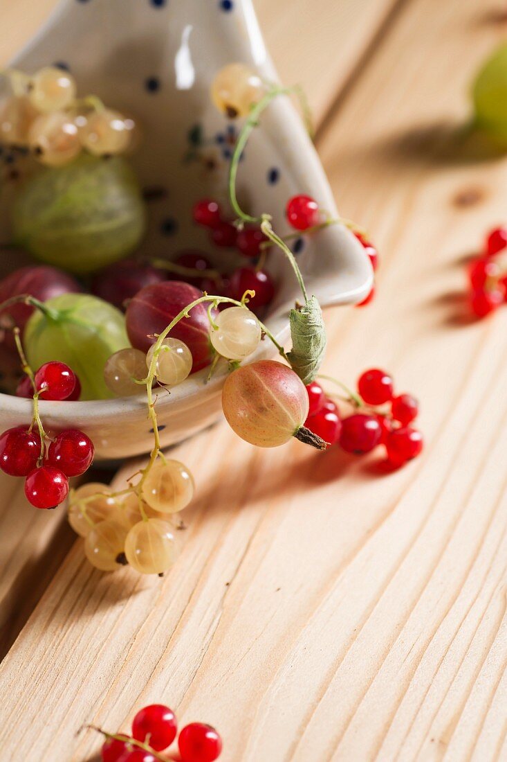 Redcurrants and whitecurrants, red and green gooseberries, and a ladle