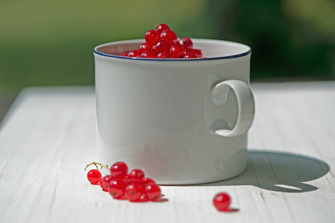 Eine Tasse mit roten Johannisbeeren auf Gartentisch