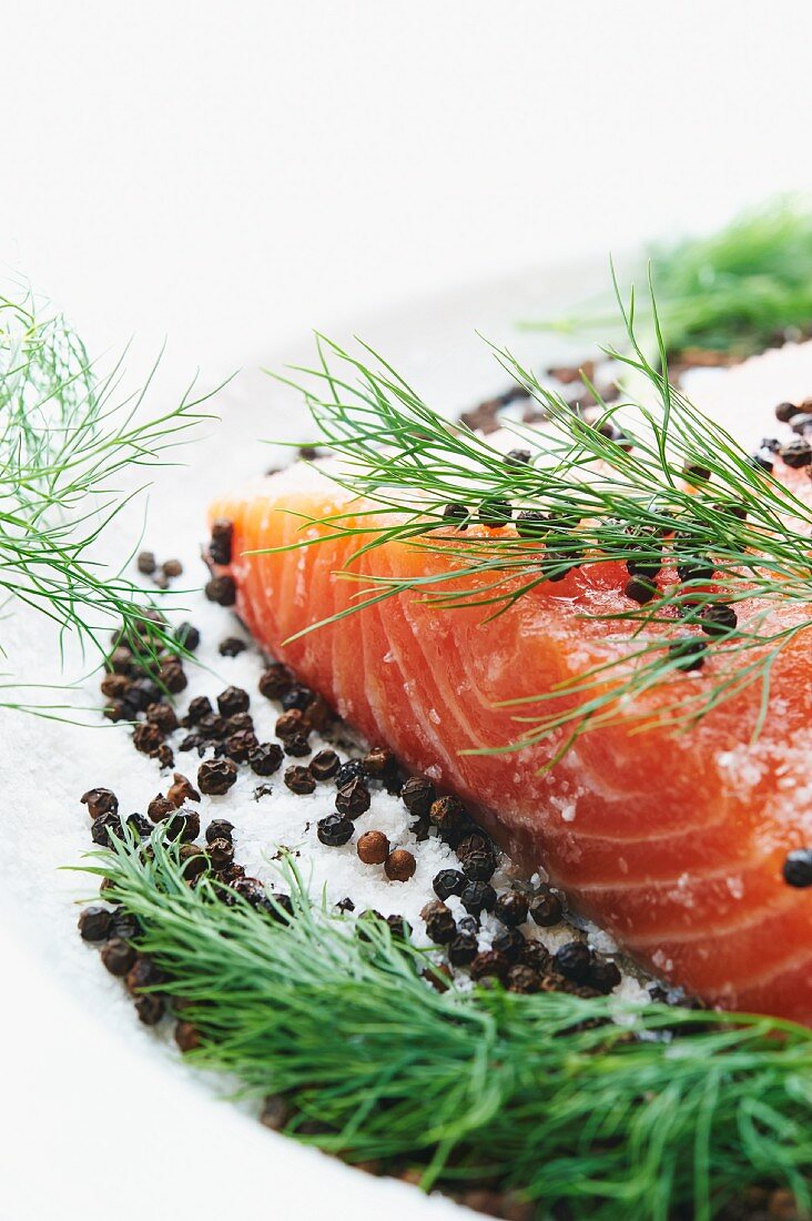 Raw Salmon and Curing Ingredients