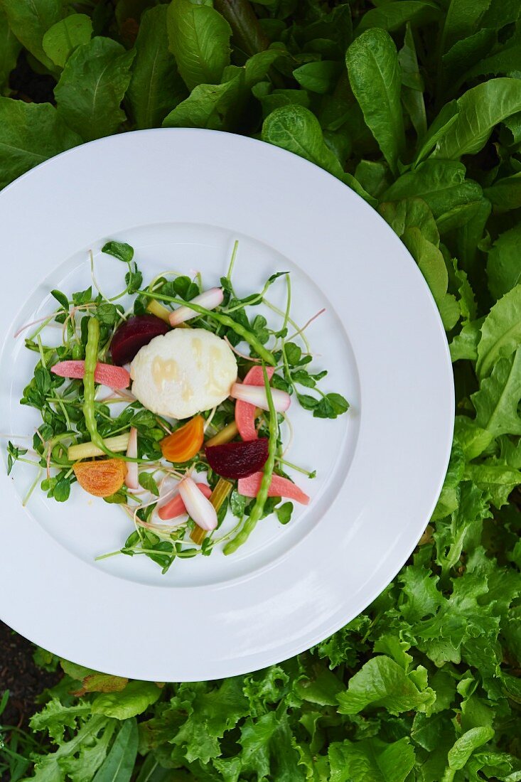 A Pea Shoot Salad with Pickled Vegetables