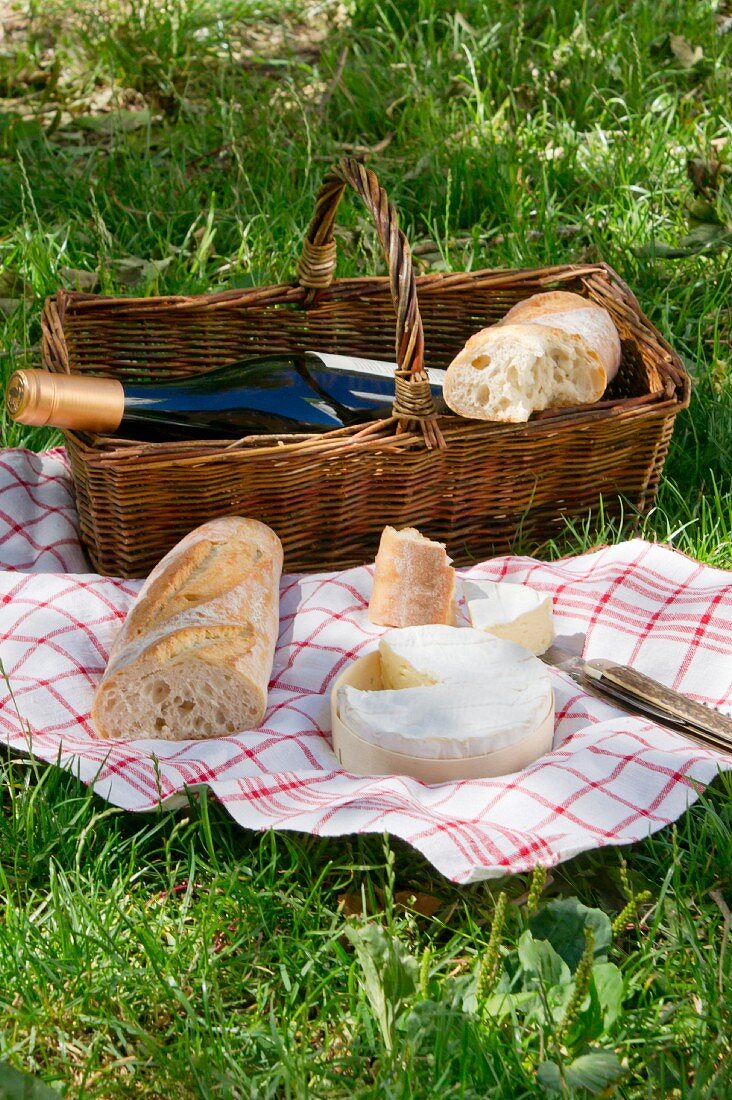 Picknick auf der Wiese mit Wein, Brot & Käse