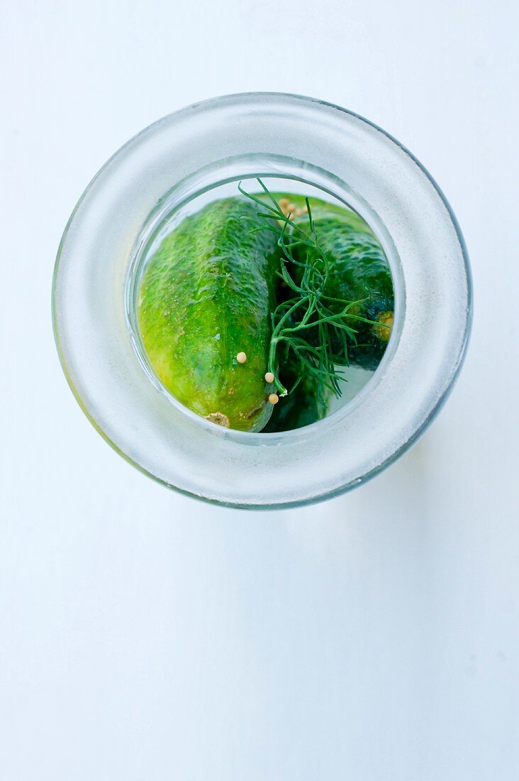 Eingelegte Gurken (Cucumis sativus) mit Dill & Senfkörnern im Glas