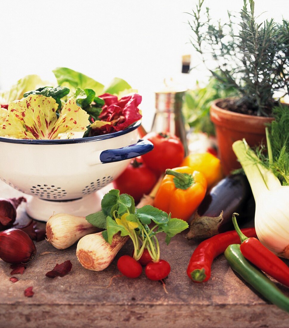 Verschiedene Salat- und Gemüsesorten mit Kräutertopf