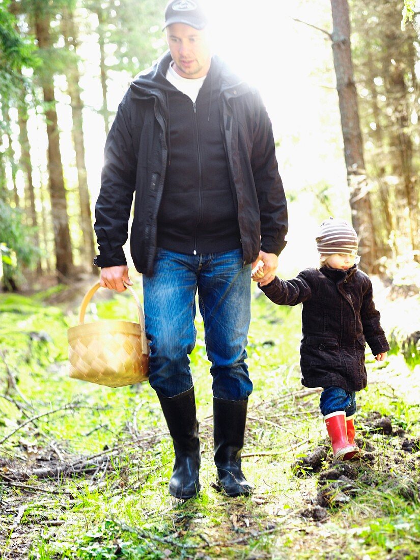 Father and daughter picking mushrooms in the forest, Sweden.