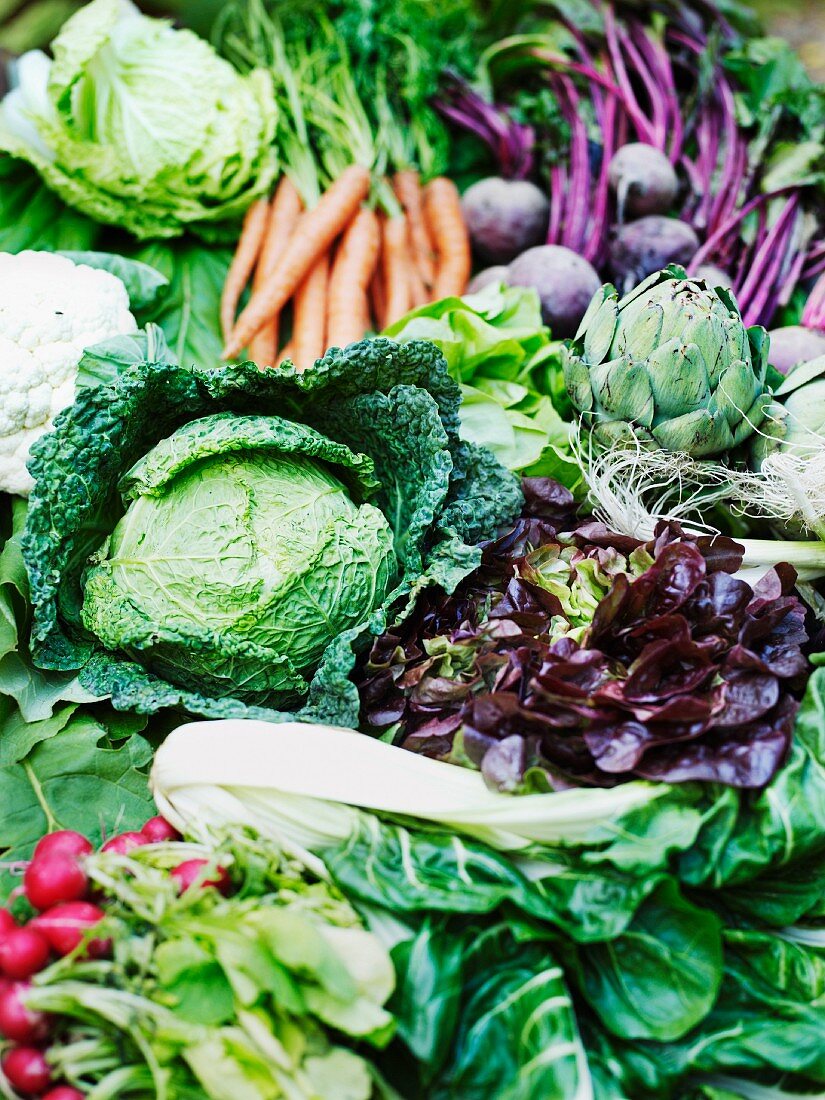 Various fresh vegetables