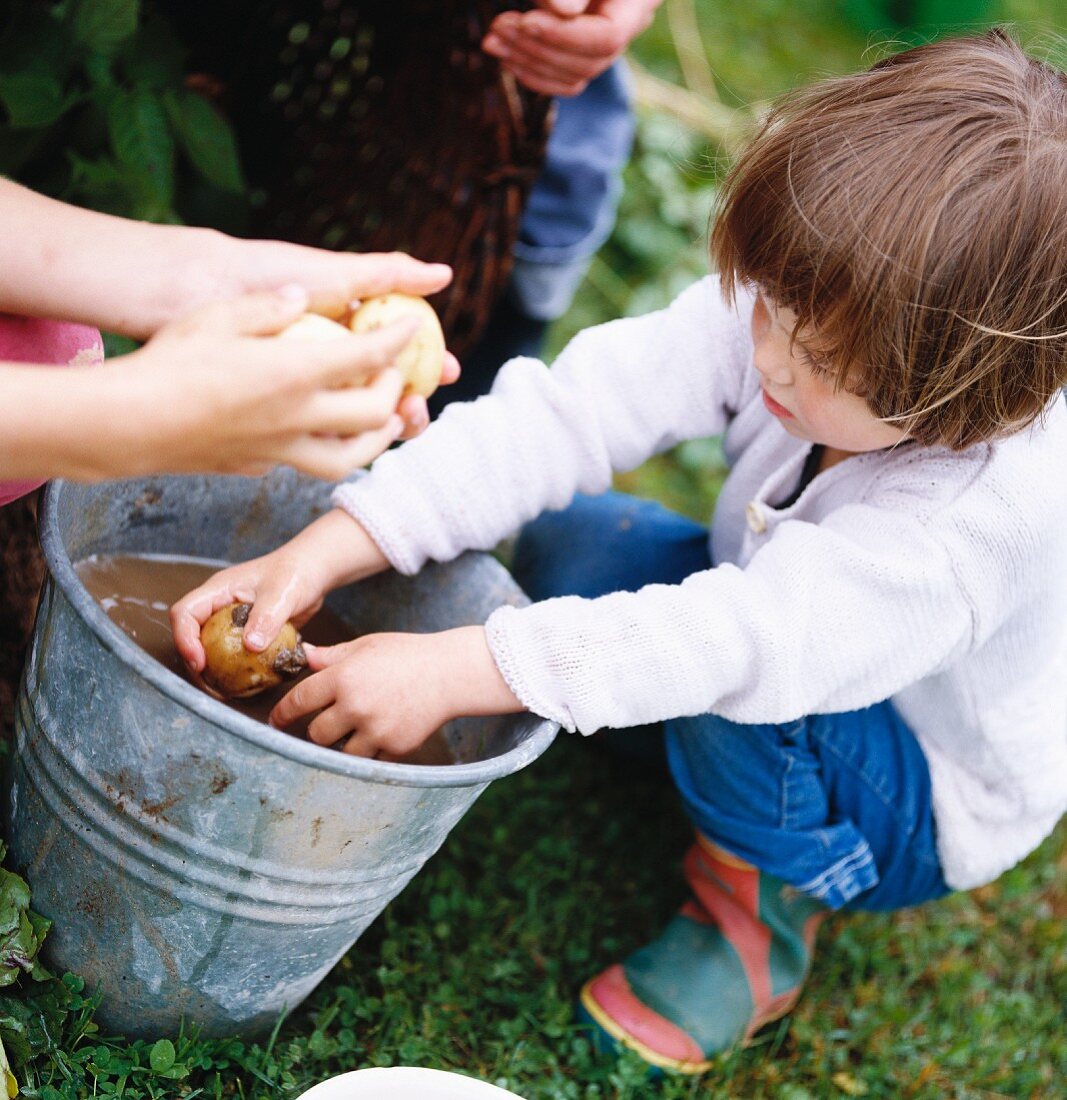 A girl washing potato in a garden.