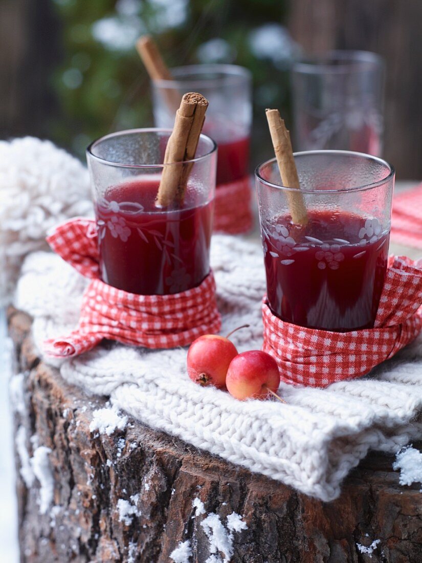 Glasses of hot apple and elderberry punch garnished with cinnamon sticks