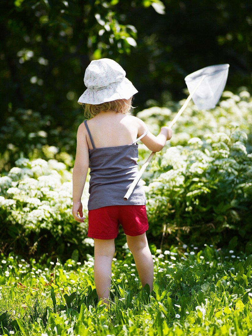Kind auf Schmetterlingjagd an einem sonnigen Tag im Garten