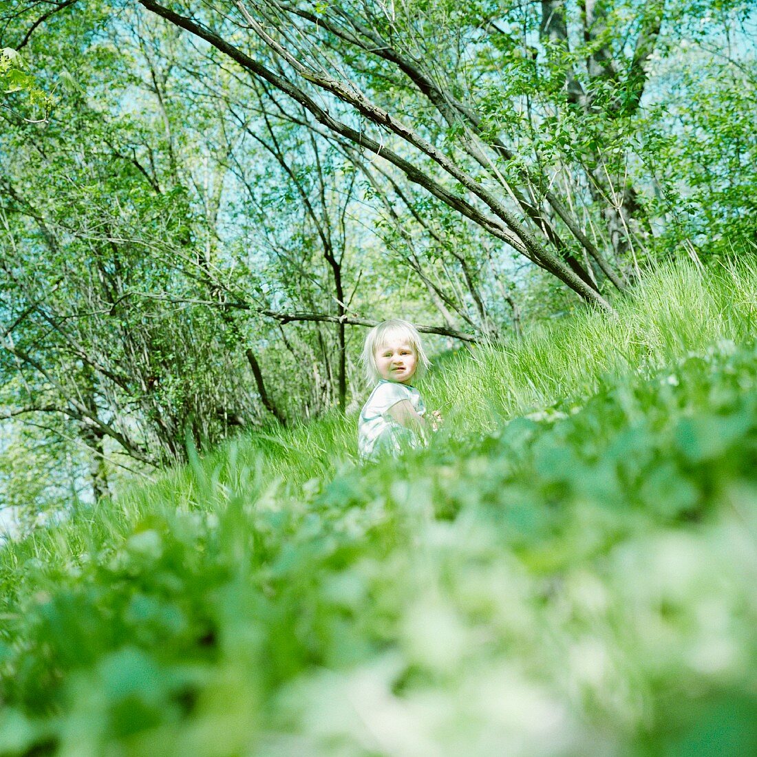 Blonde little girl sitting in grass; trees on tilted horizon