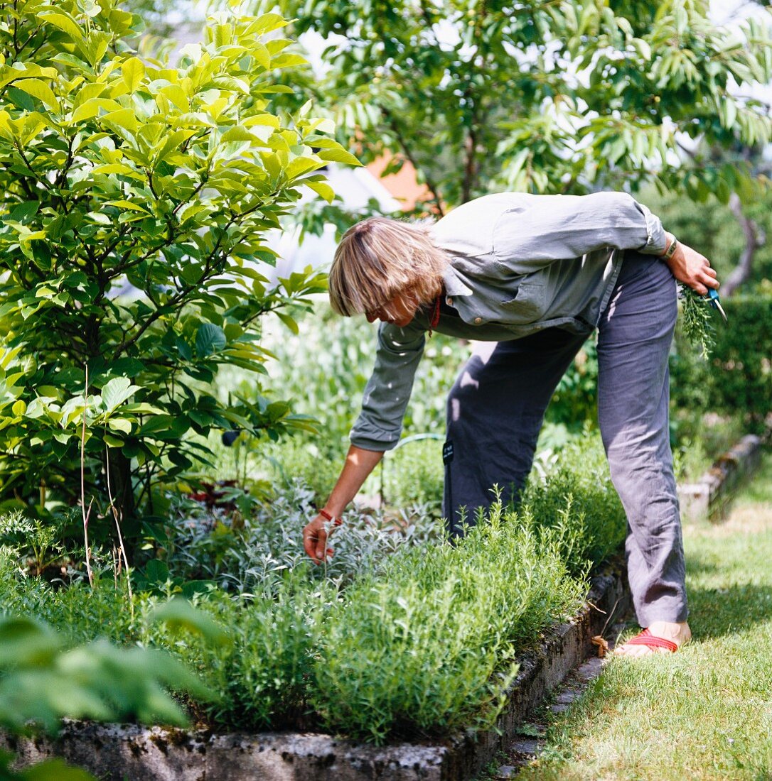 Frau bei Gartenarbeit im Kräuterbeet