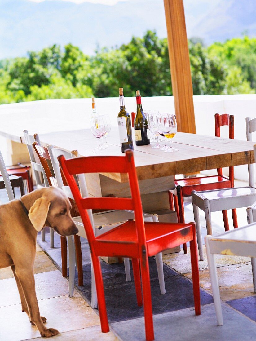 Rustikaler Holztisch und Hund auf einer Terrasse mit Bergblick