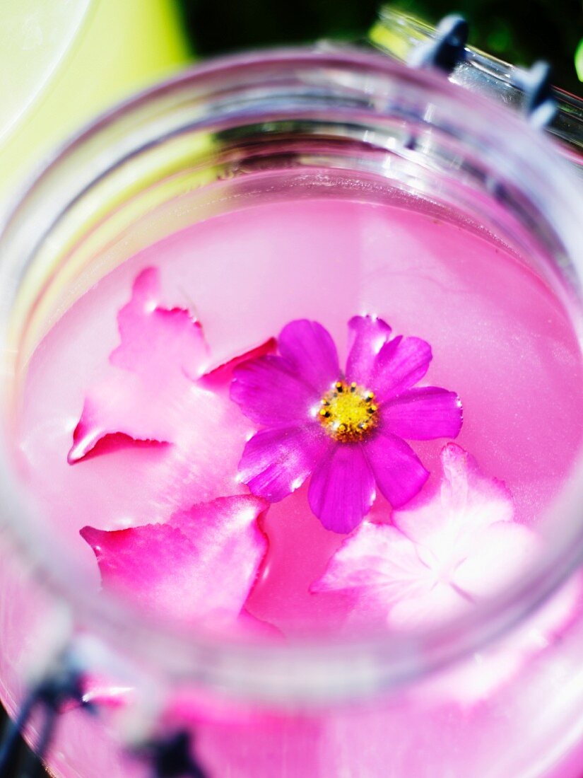 Pinkfarbene Blüten in Glas mit Wasser (Nahaufnahme)