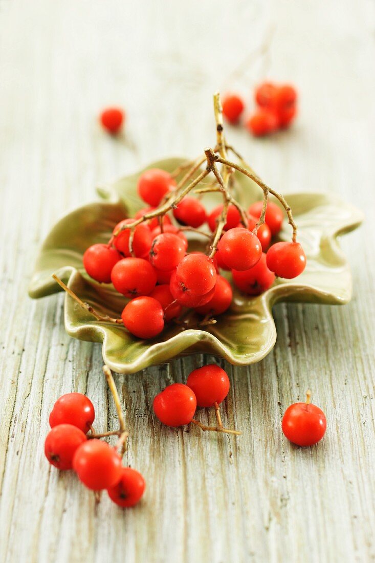 Vogelbeeren in grüner Schale