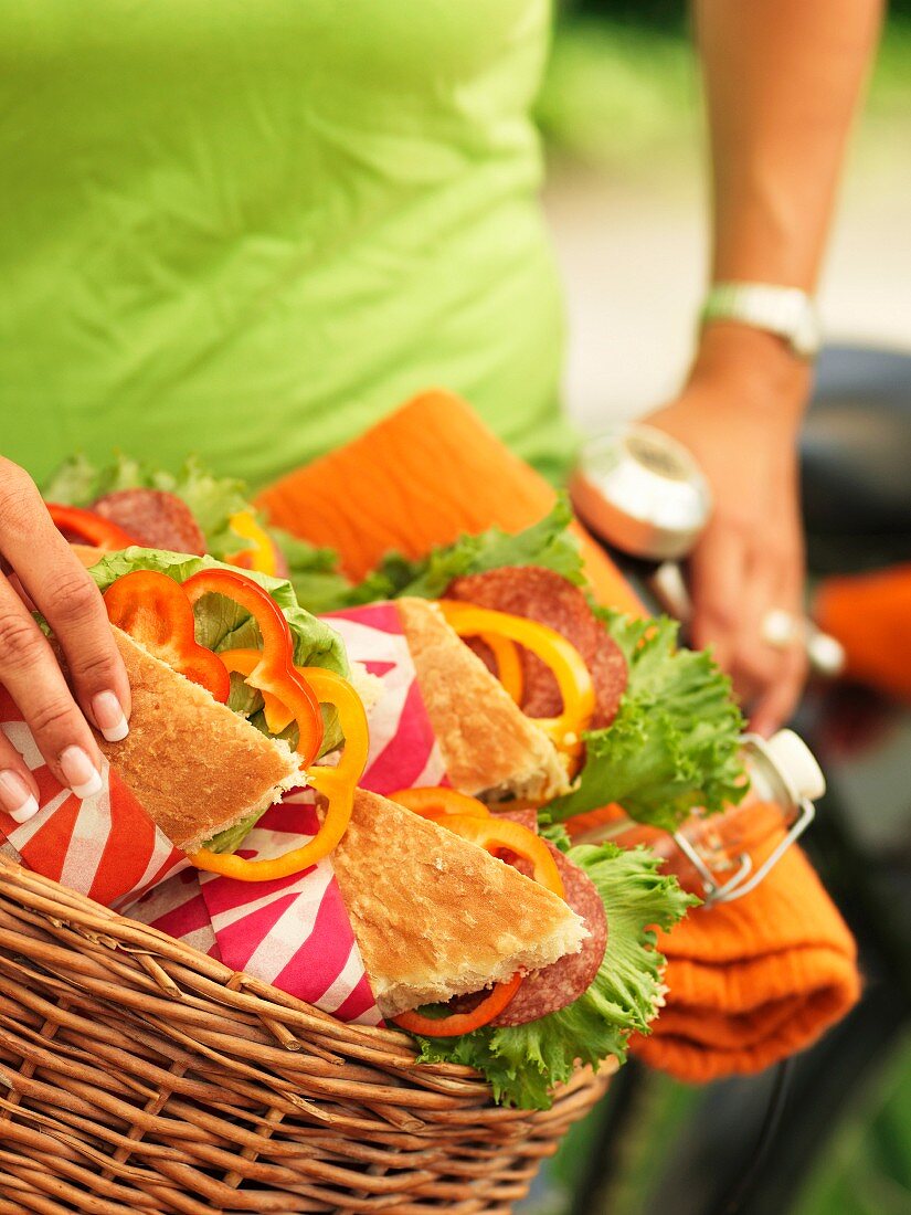 Sweden, Stockholm, Bromma, sandwiches in bicycle basket