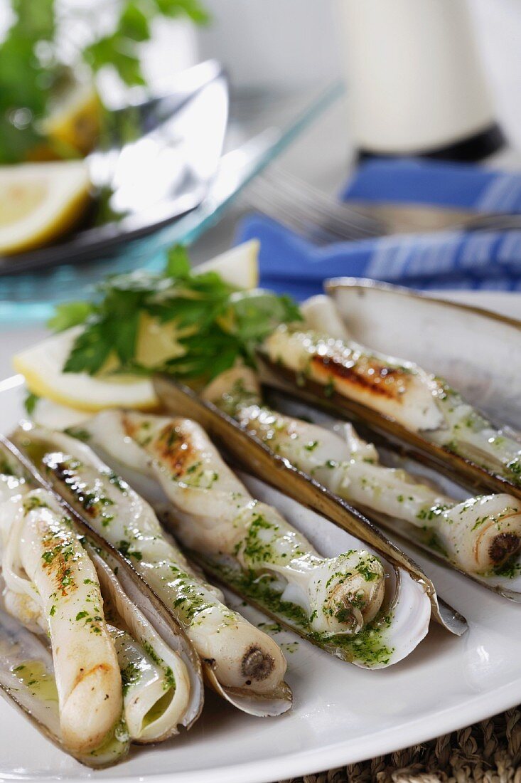 Grilled razor clams with a garlic and parsley sauce