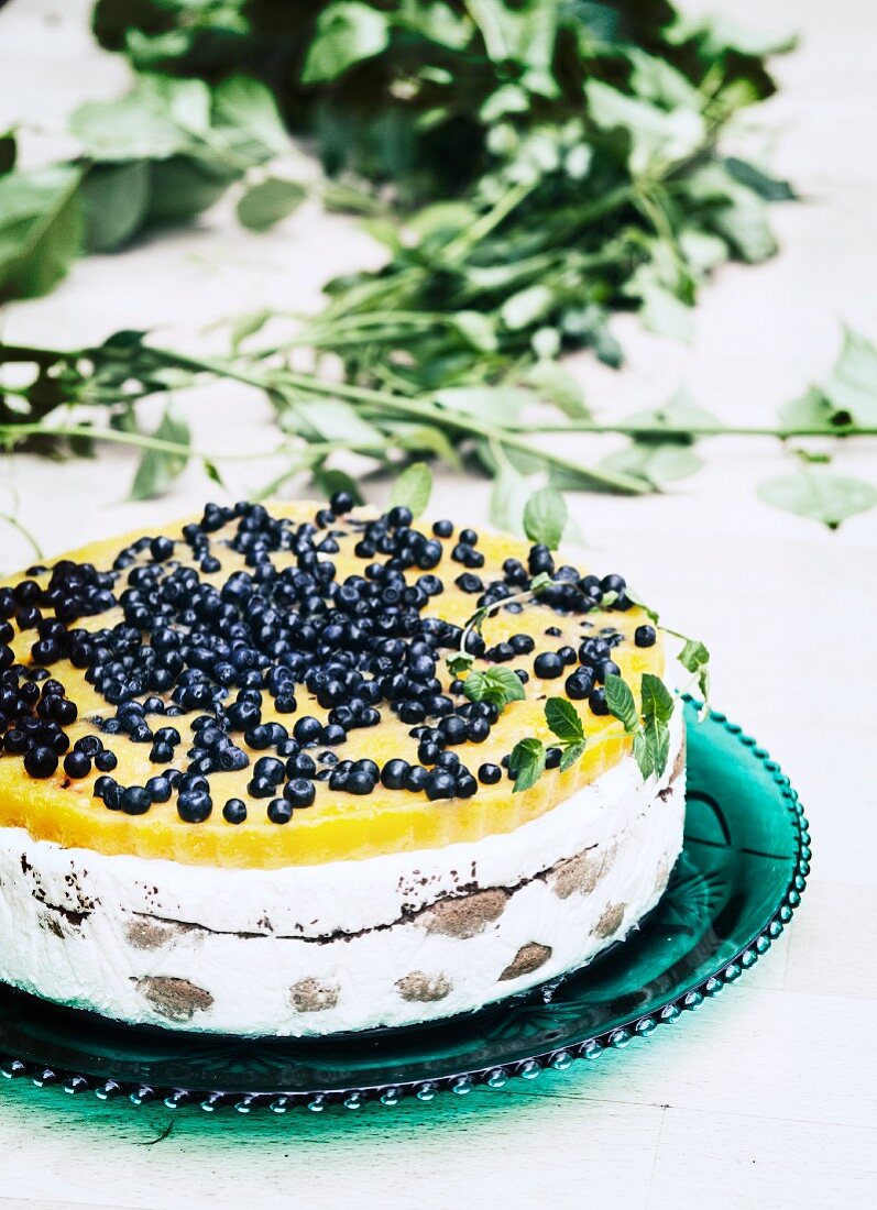 Mousse torte with blueberries