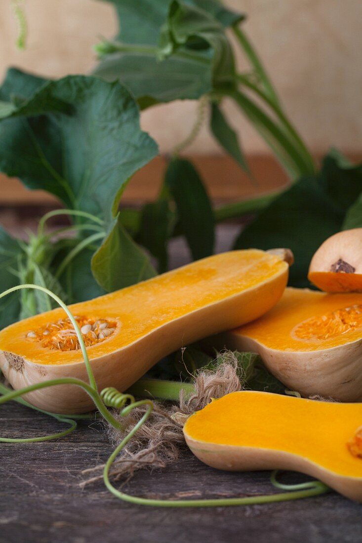 Butternut squash with leaves