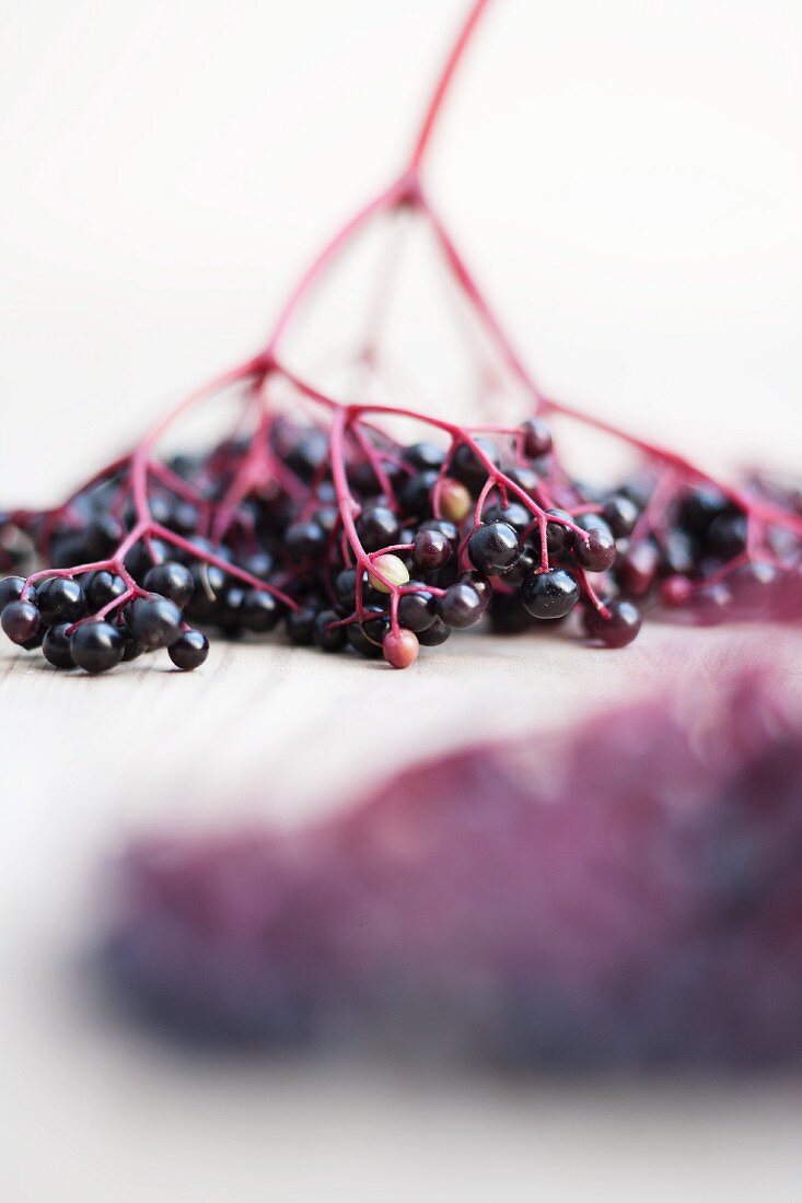 A bunch of elderberries (close-up)