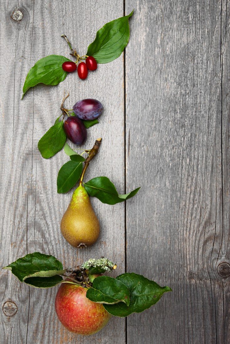 Wild fruit from trees in a meadow, on a wooden surface: plums, cornel cherries, a pear and an apple, each with stalk and leaves