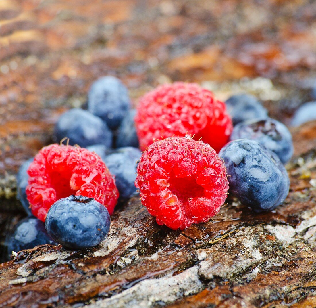 Raspberries and blueberries on tree bark