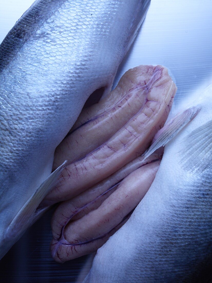 Fische mit Leber (Close Up)