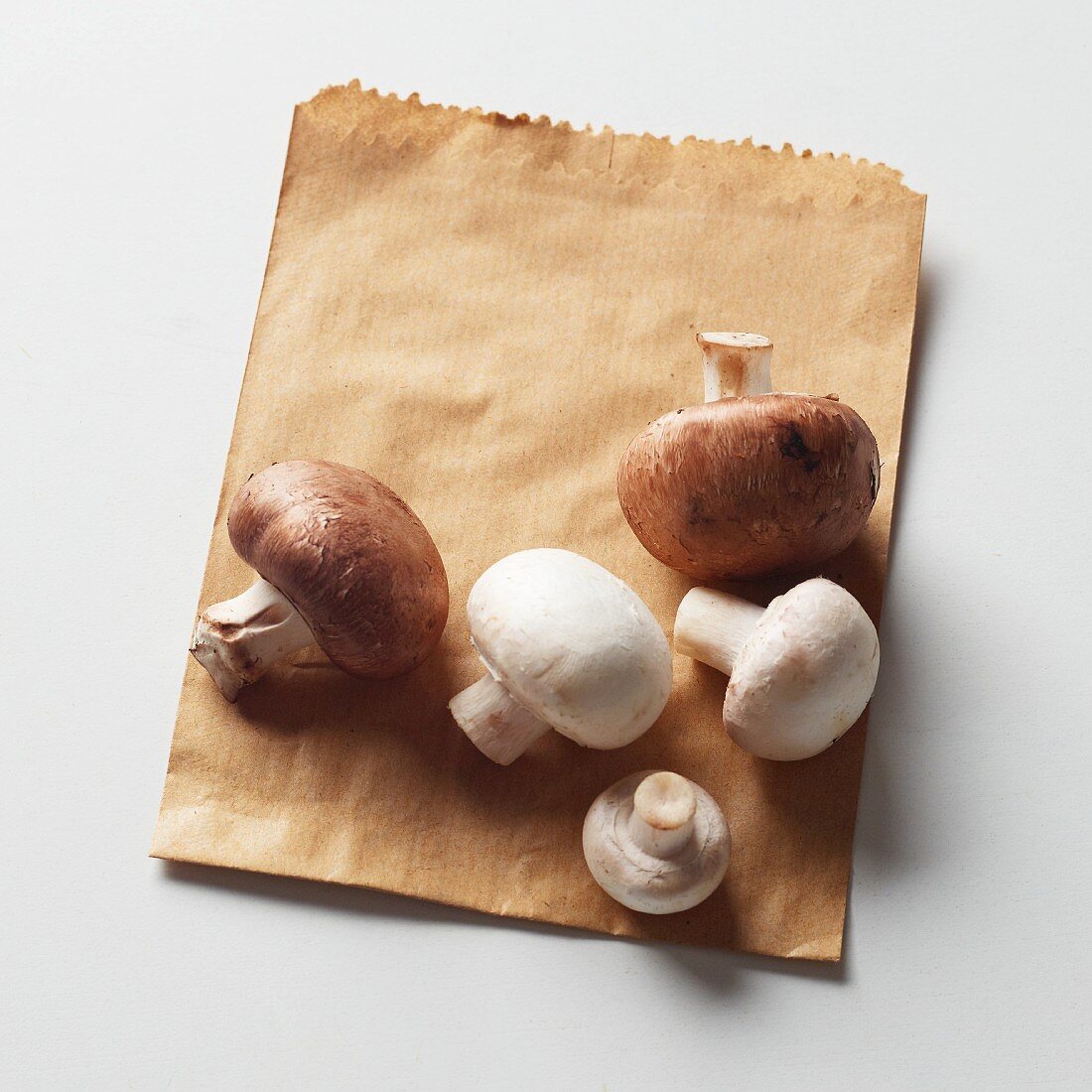 Chestnut and button mushrooms on a brown paper bag