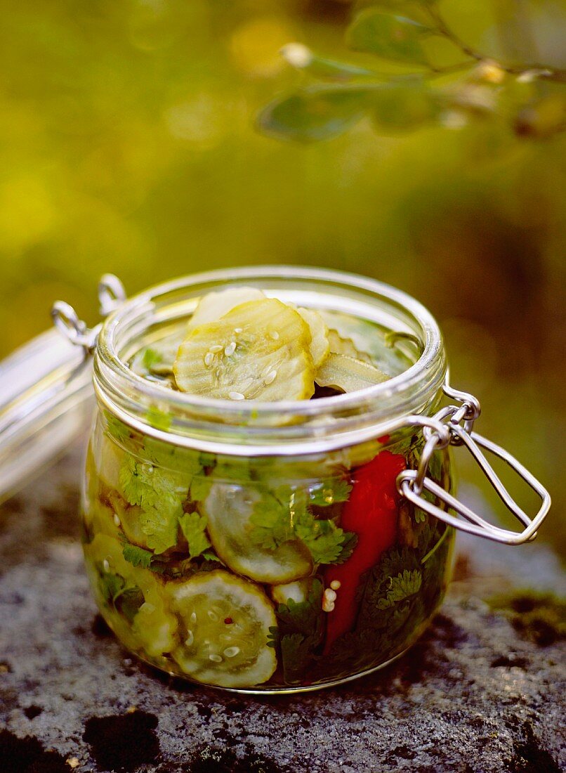 Jar of pickled cucumber, Sweden.