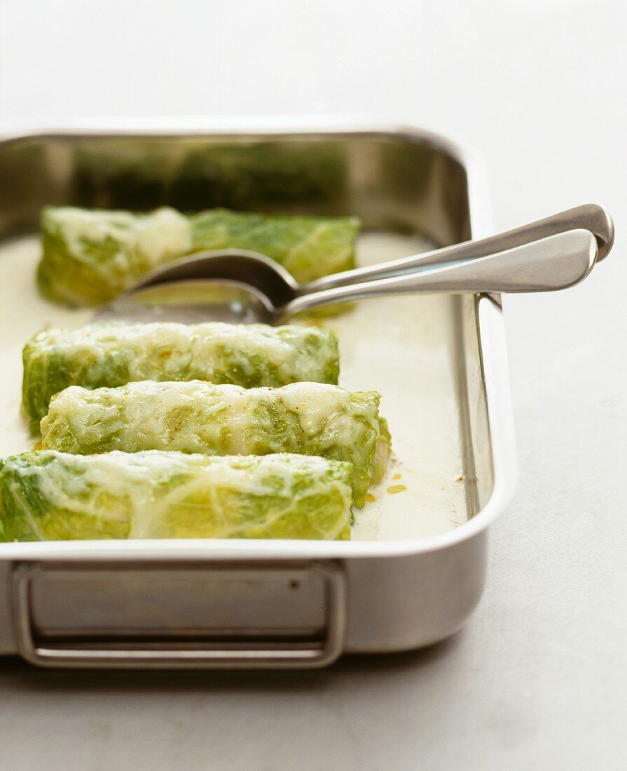Rolled savoy cabbage leaves with a cheese sauce