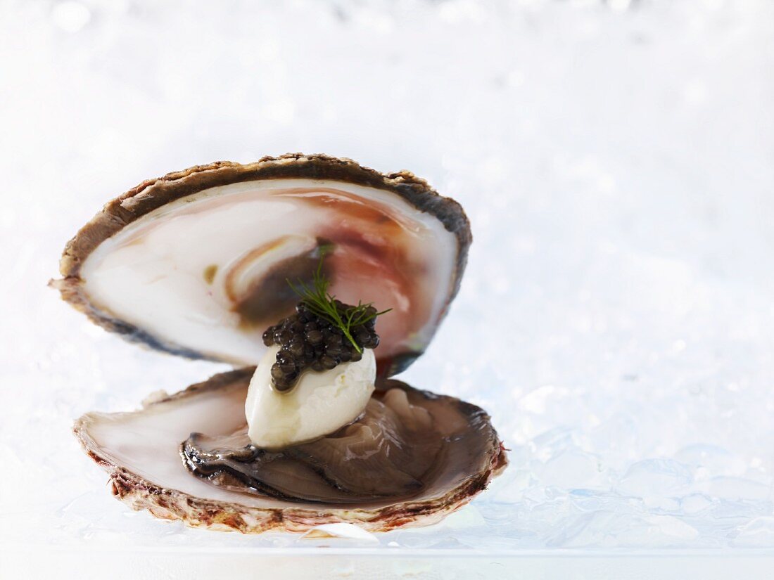 Belon-Auster mit Austerneis und Kaviar