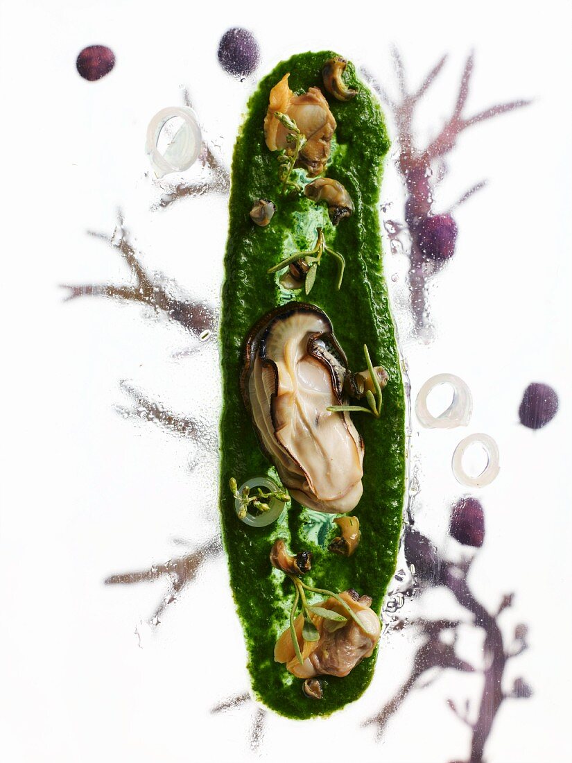 Sylter Royal oysters with winkles, cockles and salt meadow herbs