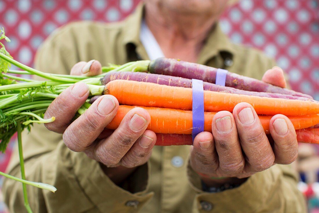 A man holding a bunch of carrots of assorted colours