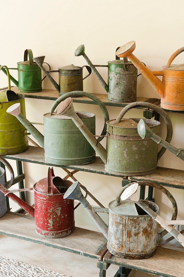 Rusty vintage watering cans on old step shelf