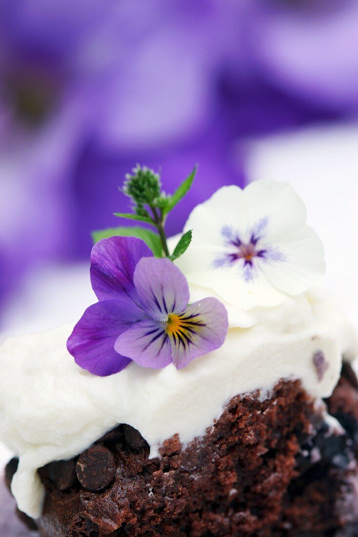 Chocolate and blueberry muffin topped with cream and violas