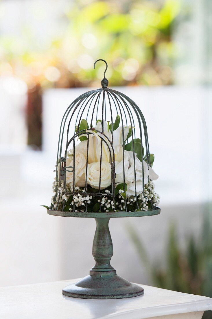 Vintage Vogelkäfig mit weissen Rosenblüten dekoriert