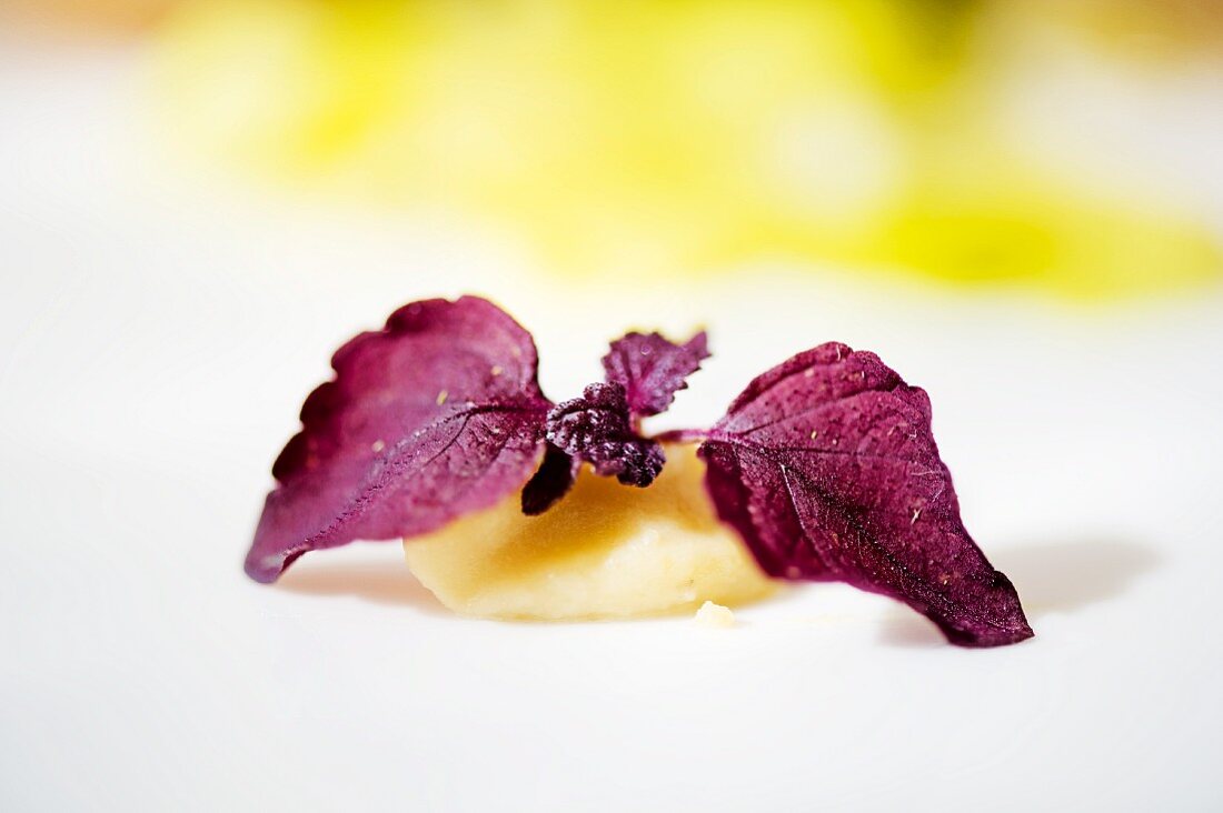 Gelberbsen-Kartoffel-Püree mit Shiso