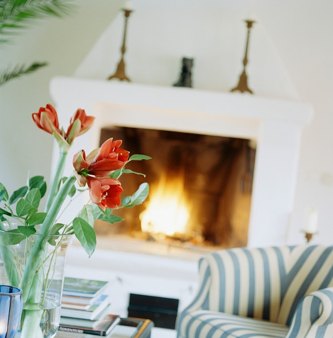 Amaryllis in Glasvase auf Tisch und gestreifter Sessel vor Kamin